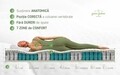 Saltea Endurance Pocket Memory
